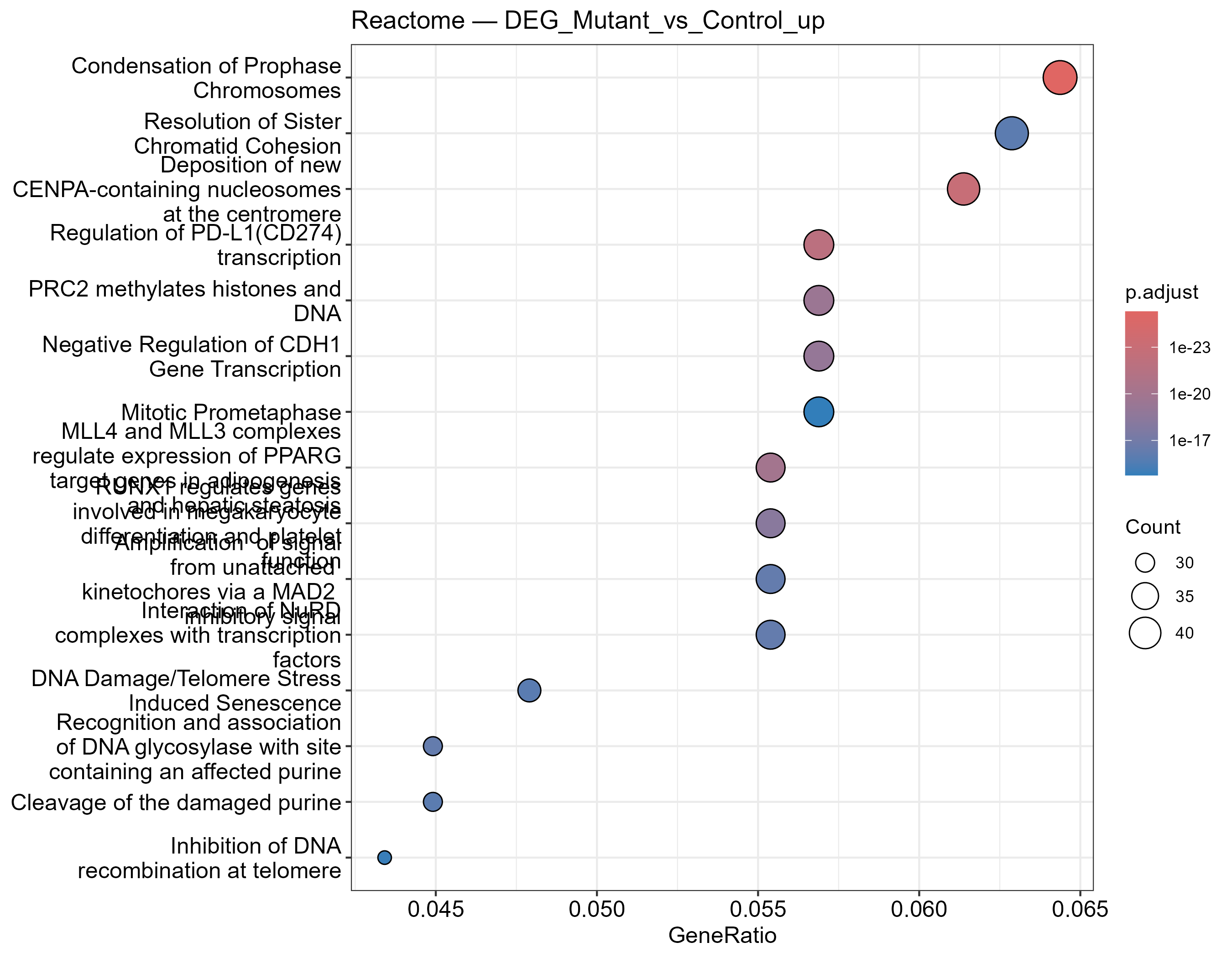 Reactome enrichment dotplot