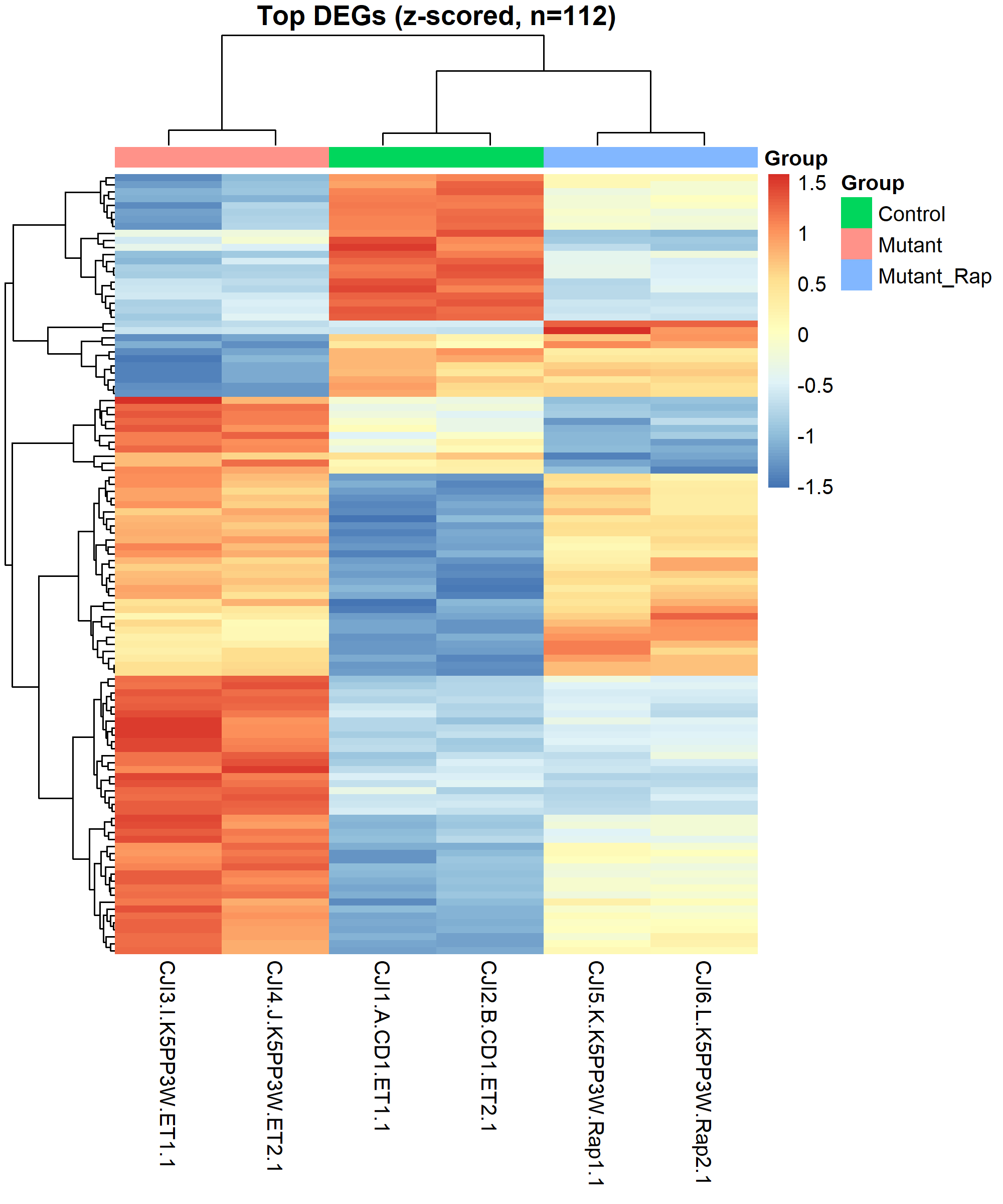 DEG heatmap