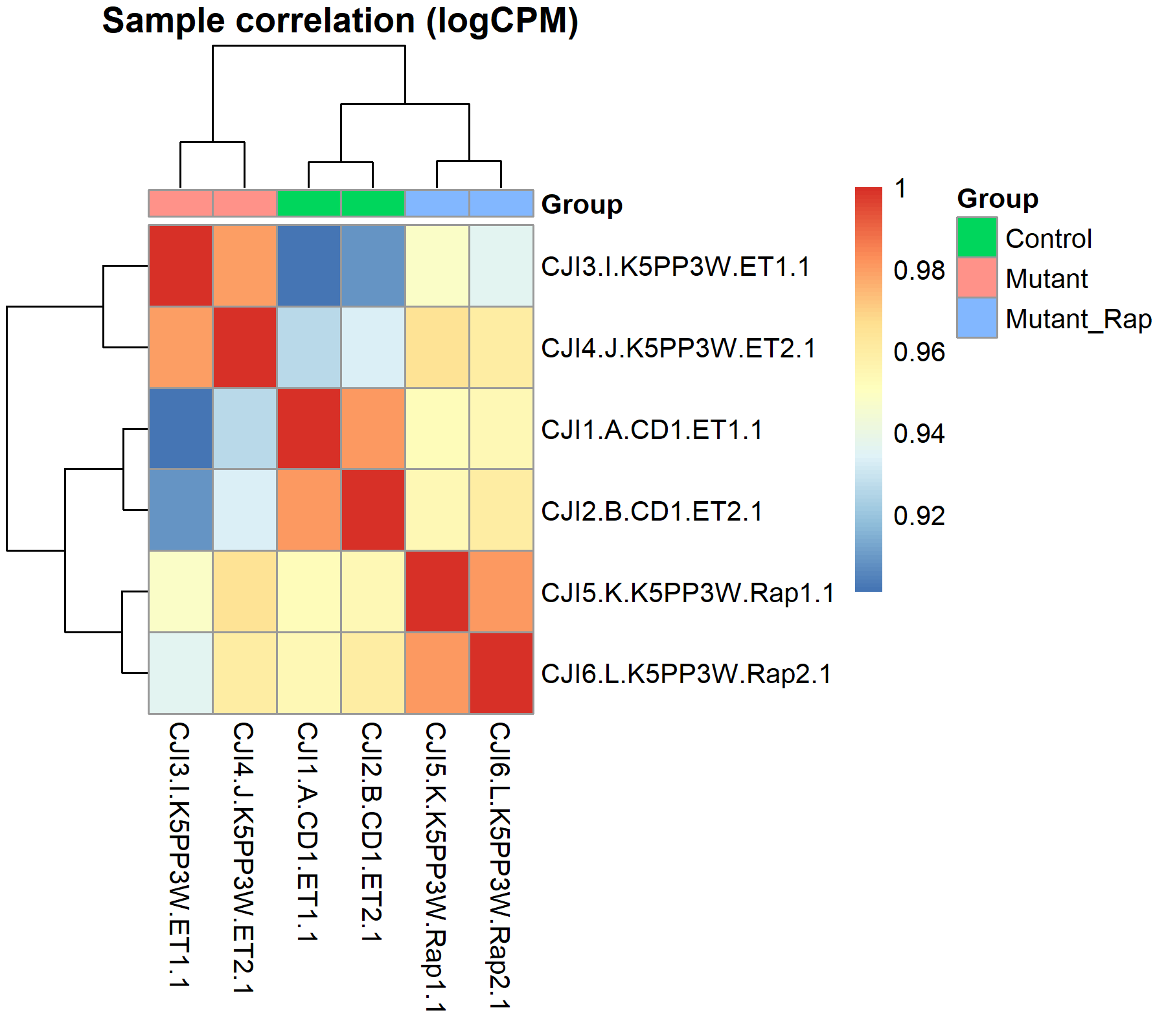 sample correlation heatmap