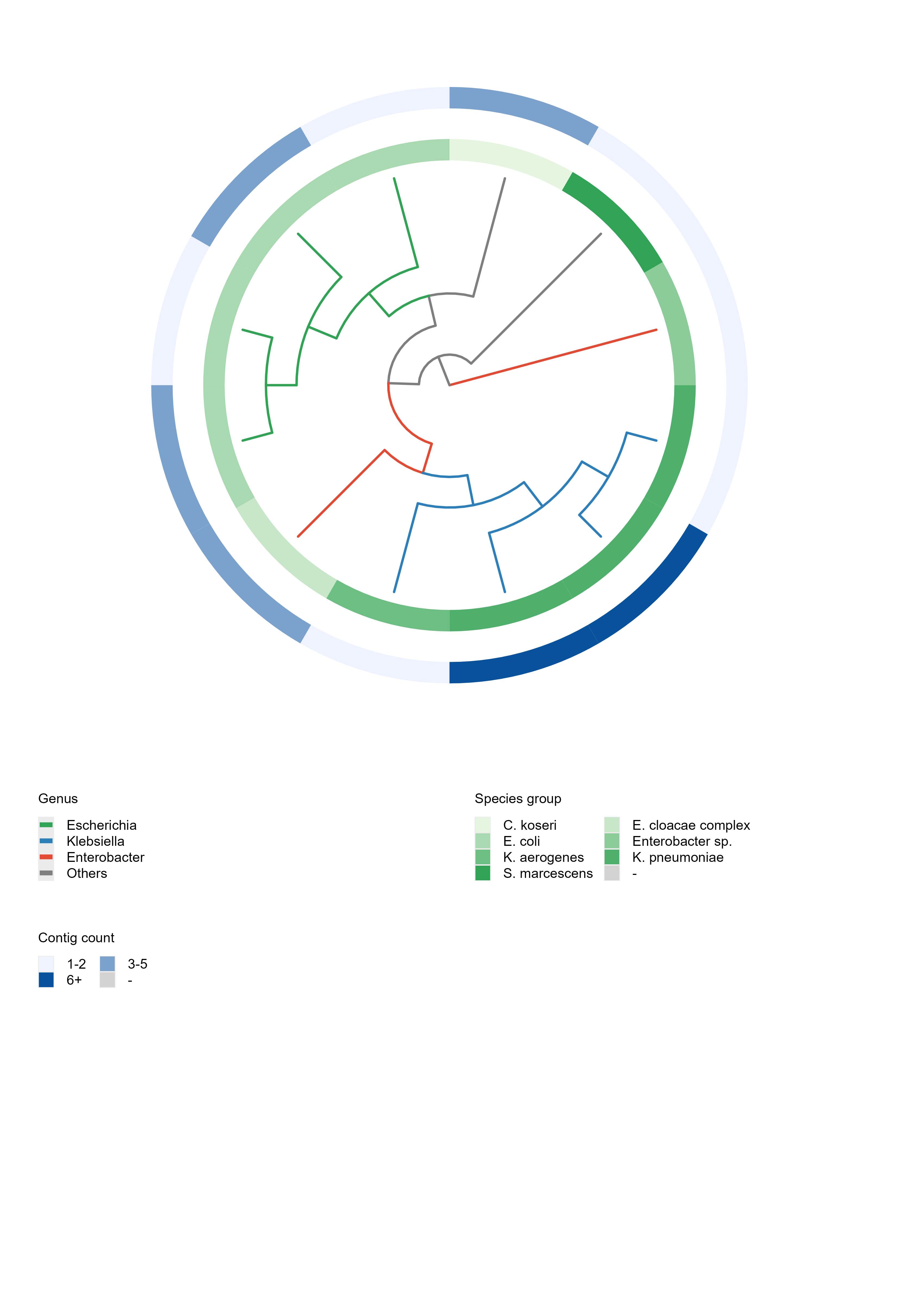 core-genome phylogenetic tree