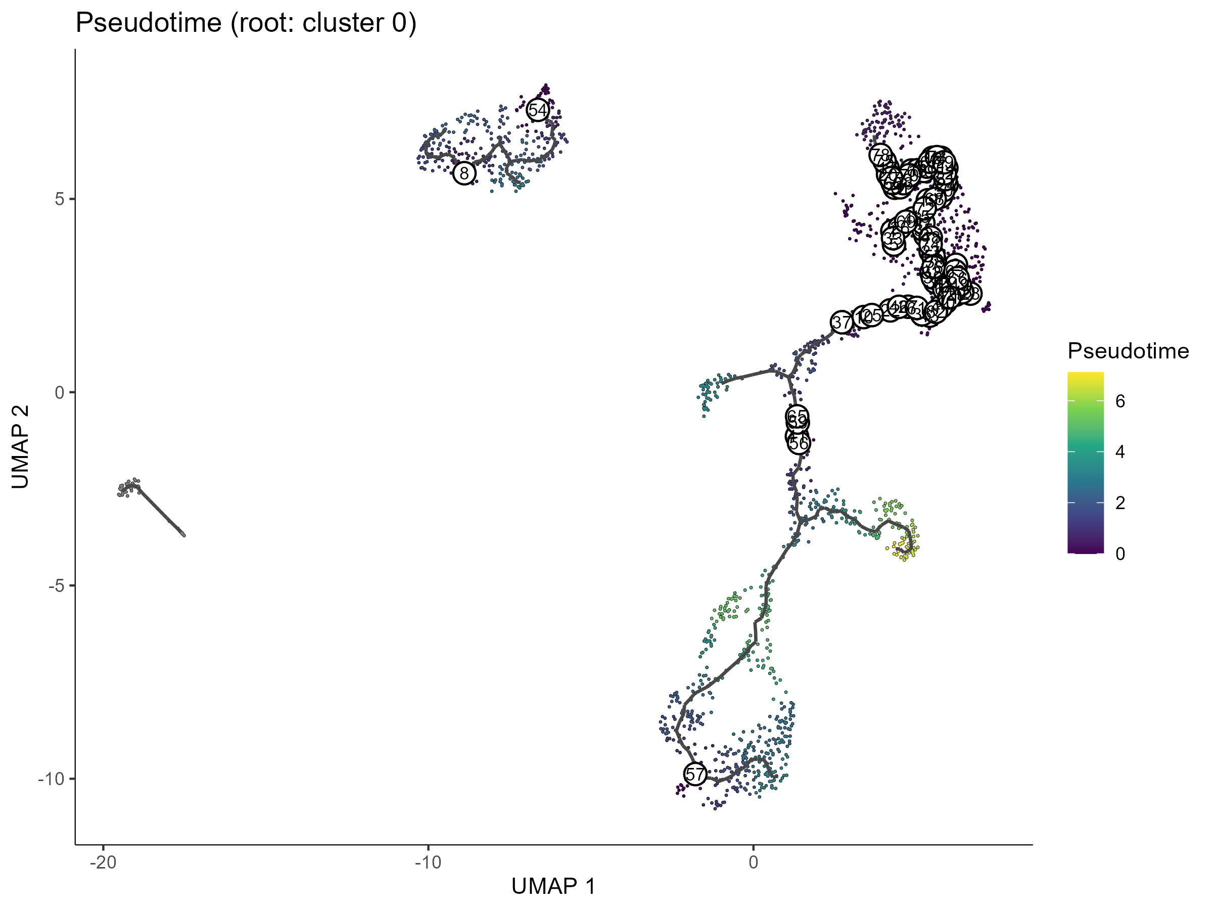 pseudotime trajectory