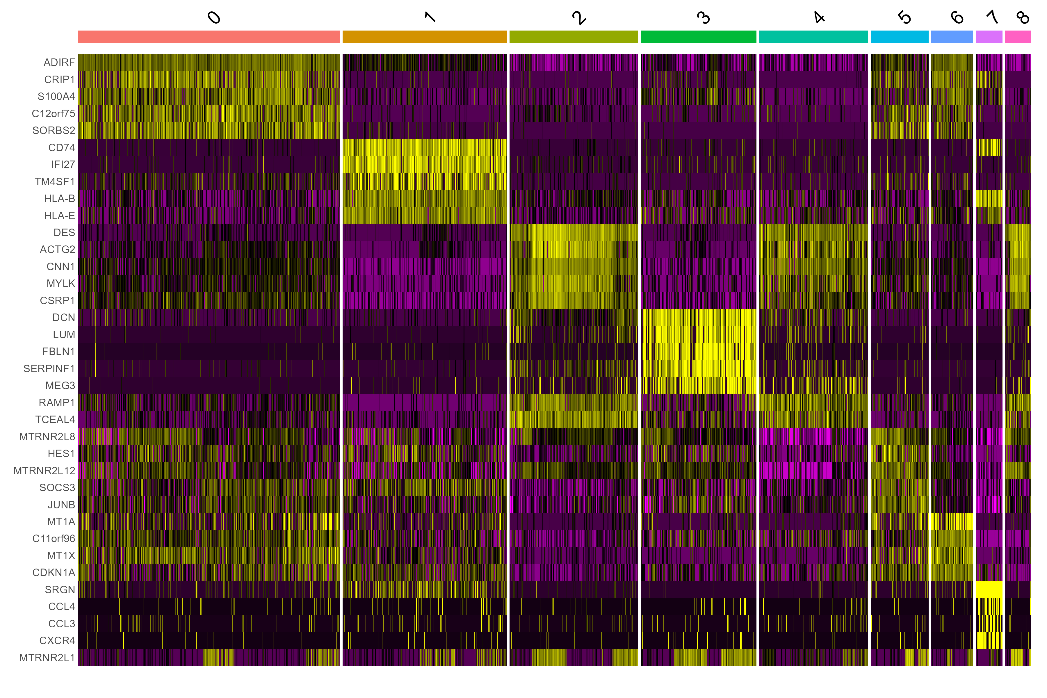 scRNA-seq marker heatmap