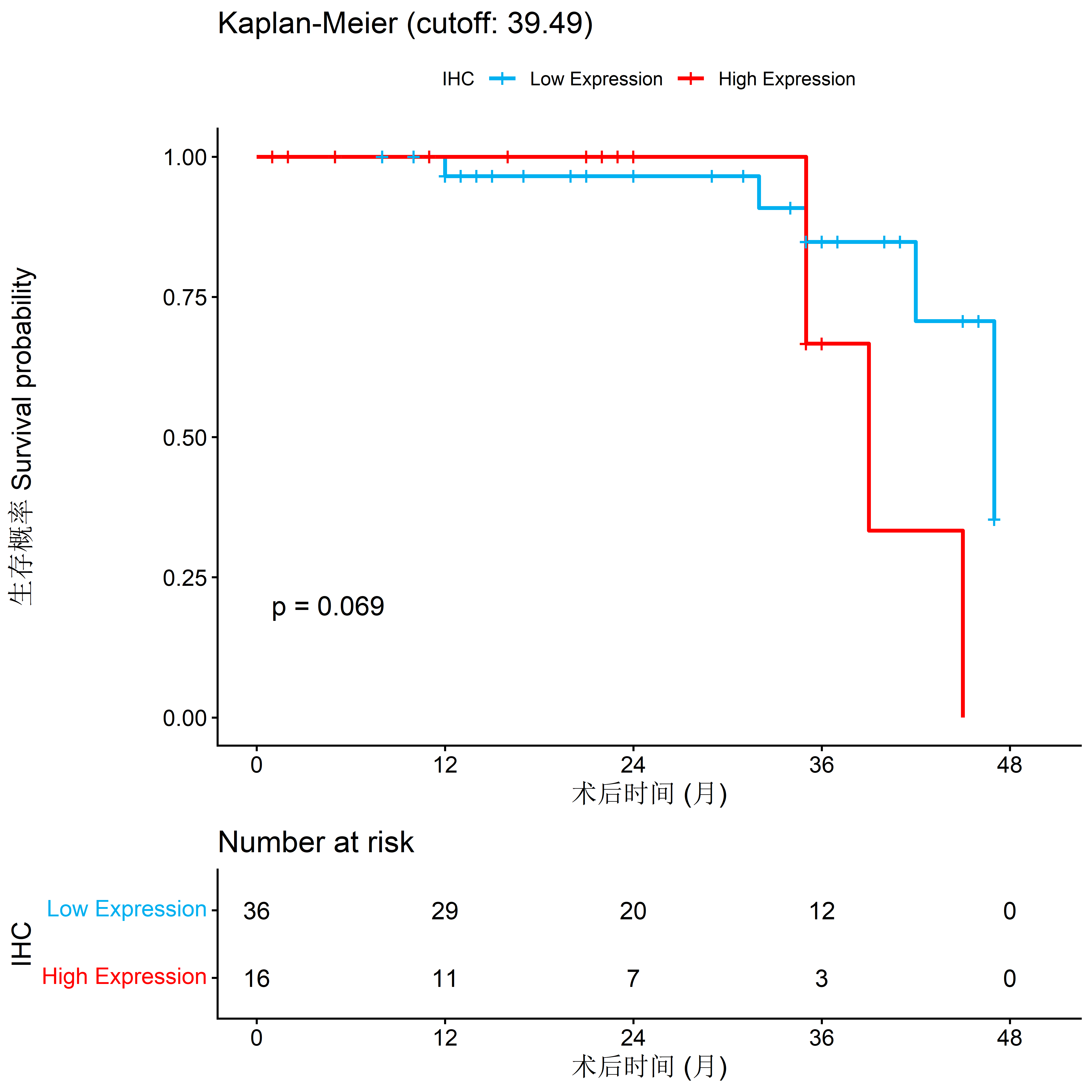 Kaplan-Meier survival curve